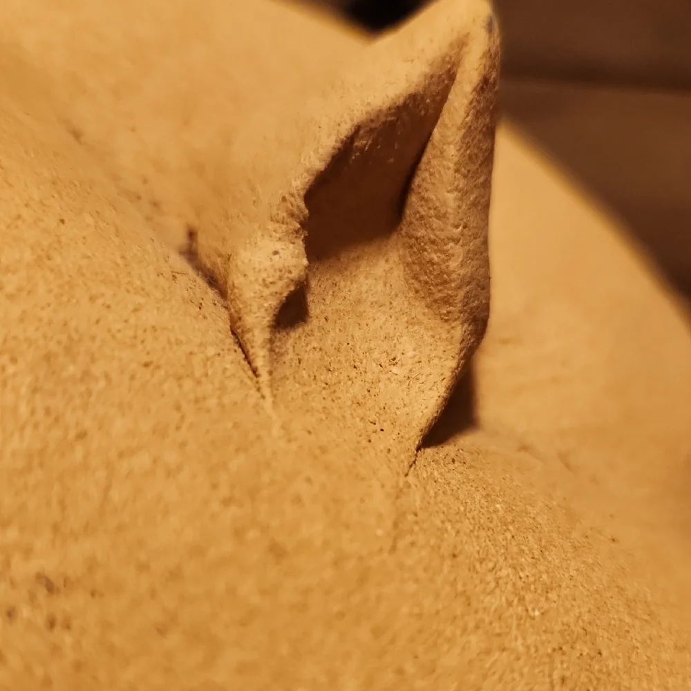 Fat Cat Piggy Bank